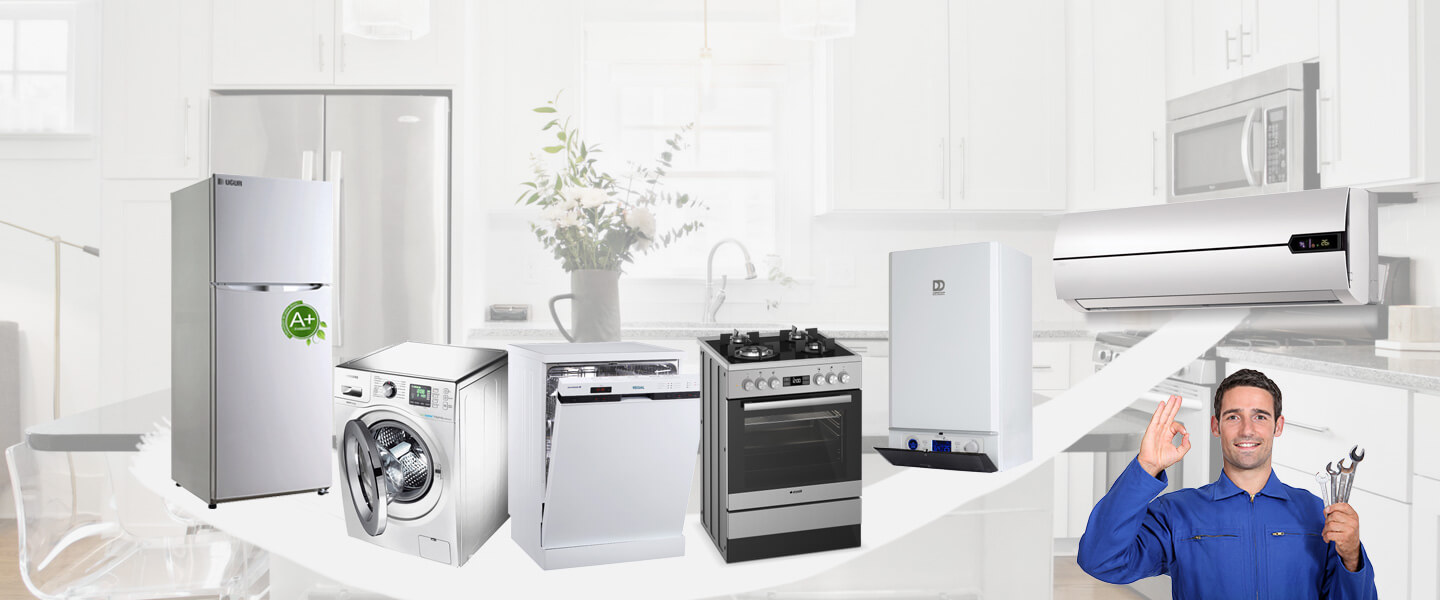 Yumurtalık Vaillant Servisi
